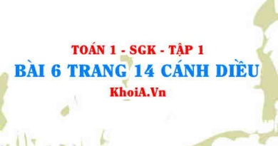 Bài 6 trang 14 Toán 12 tập 1 Cánh Diều